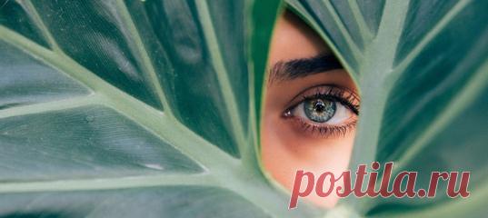 Свое понимание «идеального» тела мы формируем еще в детстве: его транслируют нам телевидение, фильмы, журналы, видеоигры и соцсети. Все они предлагают очень узкий диапазон того, как может выглядеть «нормальная» девушка: молодая, стройная, с соблазнительными изгибами в положенных местах, с густыми блестящими волосами, длинными ресницами и кожей, начисто лишенной пор, прыщей, целлюлита и морщин. Так незаметно у нас в голове формируется образ, к которому хочется стремится. Но он в корне…