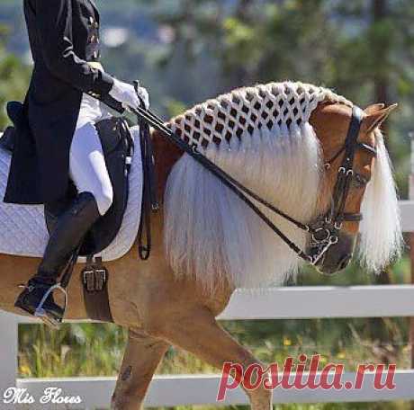 парадный выход!