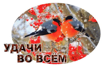 (2) Мой Мир@Mail.Ru