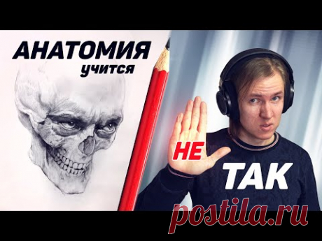 Анатомия для художников. Хватит учить её ТАК!