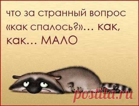 Мой Мир@Mail.Ru