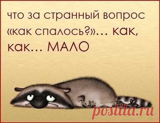 Мой Мир@Mail.Ru