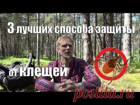 3 ЛУЧШИХ СПОСОБА ЗАЩИТИТЬСЯ ОТ КЛЕЩЕЙ.
