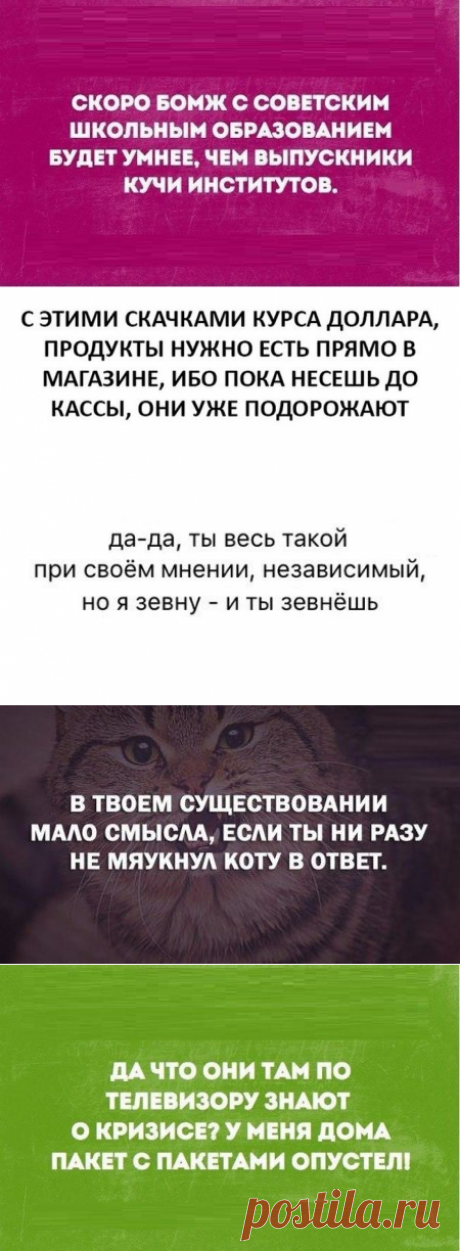 В точку! Самые отборные цитаты