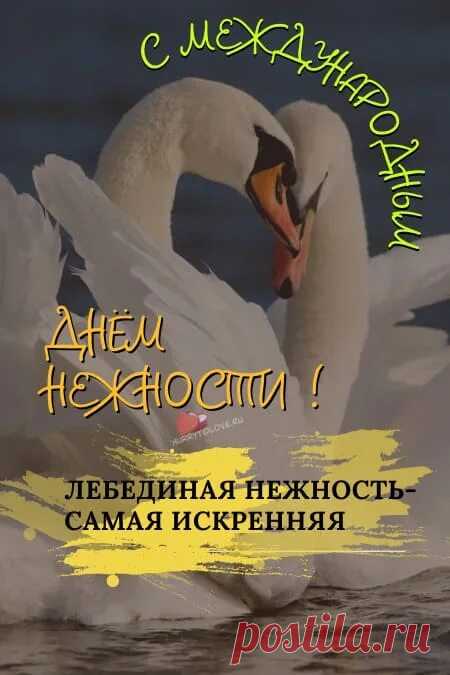 С днем Нежности! Заботы и ласки Вам!