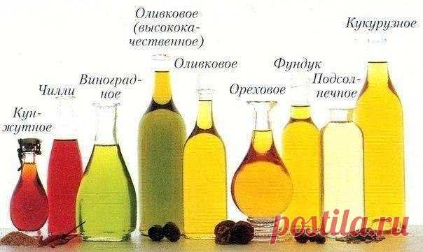 Чем полезны растительные масла — Делимся советами
