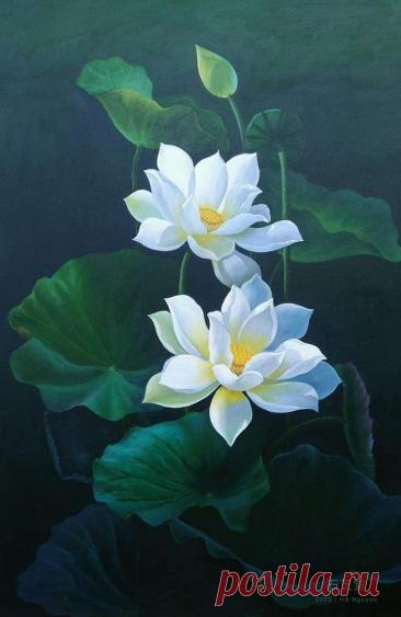 Изображение пина-истории