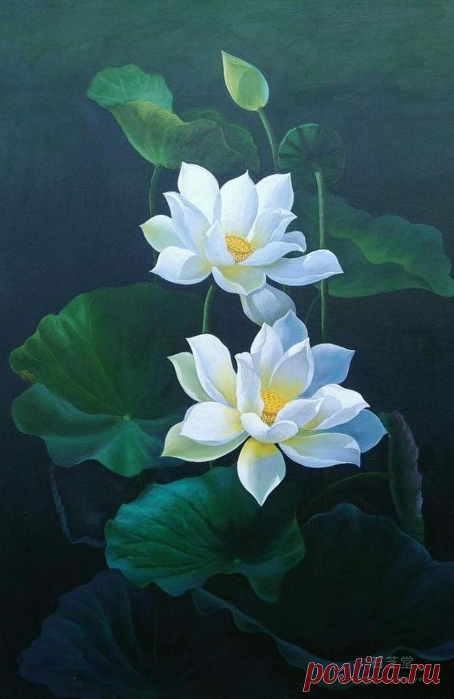 Изображение пина-истории