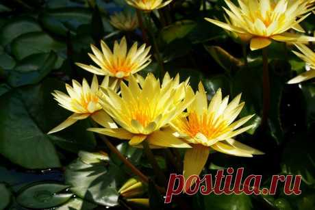 Редактировать описание