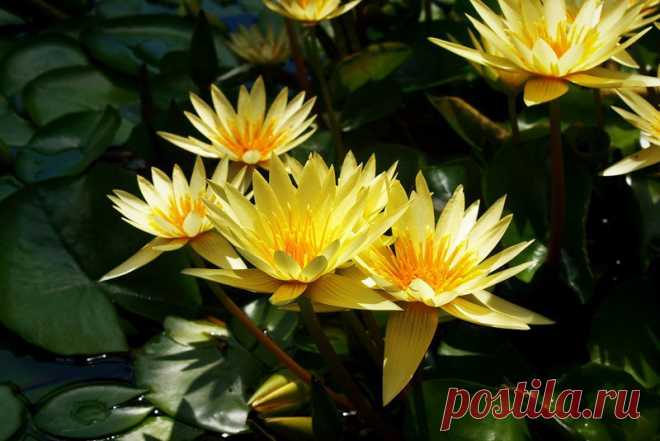 Редактировать описание