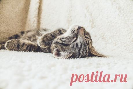 Прокрастинация. Если существует преступление, в котором нет-нет да и виновен каждый человека, то это прокрастинация — откладывание дел на потом. А ведь основной ингредиент успеха — действие. Без него не достичь желаемого. Поскольку прокрастинация приводит к задержкам, поддаваться ей — то же самое, что вообще ничего не делать. Откладывание до бесконечности приводит к непредсказуемым последствиям. У жизненных целей — карьерного роста, открытия бизнеса, финансовой незав...