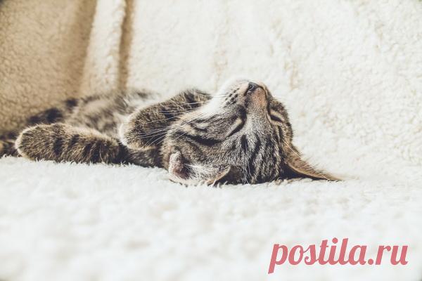 Прокрастинация. Если существует преступление, в котором нет-нет да и виновен каждый человека, то это прокрастинация — откладывание дел на потом. А ведь основной ингредиент успеха — действие. Без него не достичь желаемого. Поскольку прокрастинация приводит к задержкам, поддаваться ей — то же самое, что вообще ничего не делать. Откладывание до бесконечности приводит к непредсказуемым последствиям. У жизненных целей — карьерного роста, открытия бизнеса, финансовой незав...