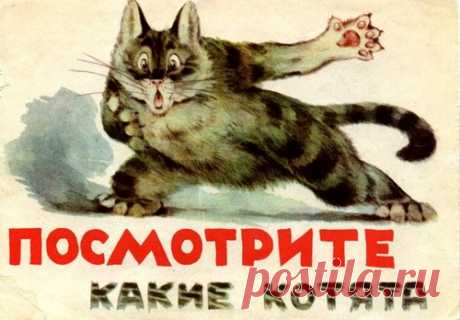 &quot;Пять маленьких котят божьей коровки&quot;книга: 3 тыс изображений найдено в Яндекс.Картинках