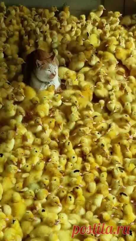 И тепло, и не скучно)))