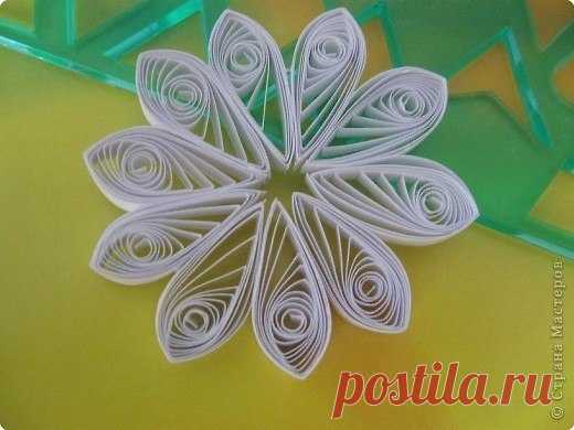 Ромашки в технике квиллинг — Сделай сам, идеи для творчества - DIY Ideas