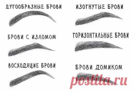 Формы бровей: | thePO.ST