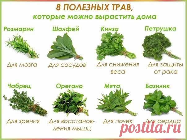 (123) Facebook