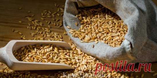 Вылечило ведро овса
У меня были ужасные пятки: словно ороговевшие и как наждак. Вычитала, что это результат 