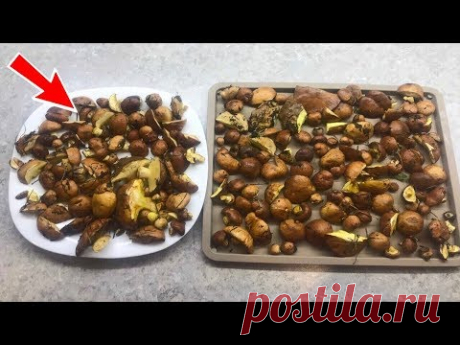 КАК БЫСТРО  ПОЧИСТИТЬ МАСЛЯТА? Проще не бывает!
