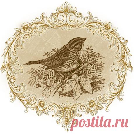 Картинки для декупажа. Птицы. Серия для комплектов.