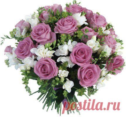 Маленькие секретики (садовод - садоводу) | Домохозяйки