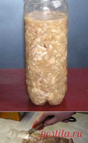 Куриный рулет 