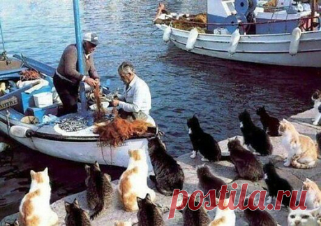 Группа: Шедевры фотографии
