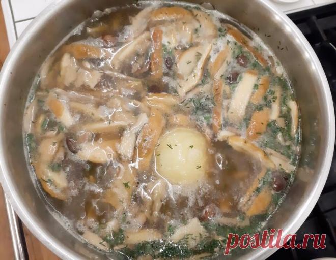 Я очень люблю Тиграна. Особенно в момент, когда ему вечером после работы в негрибной сезон вдруг срочно захотелось грибной суп | Маргарита Симоньян | Яндекс Дзен