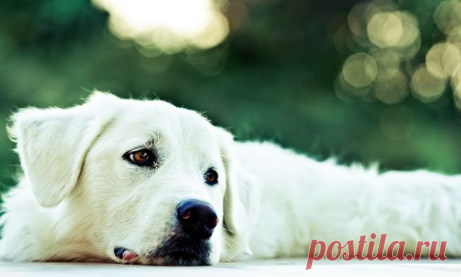 ♥ღ♥Притча о пустых жалобах♥ღ♥