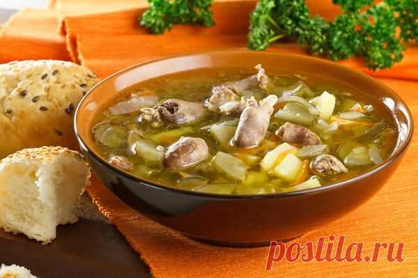 Рассольник: рецепты любимого супа .......с потрошками,  с копчёностями,  с курицей,  с клёцками,  со щавелем,  грибной,