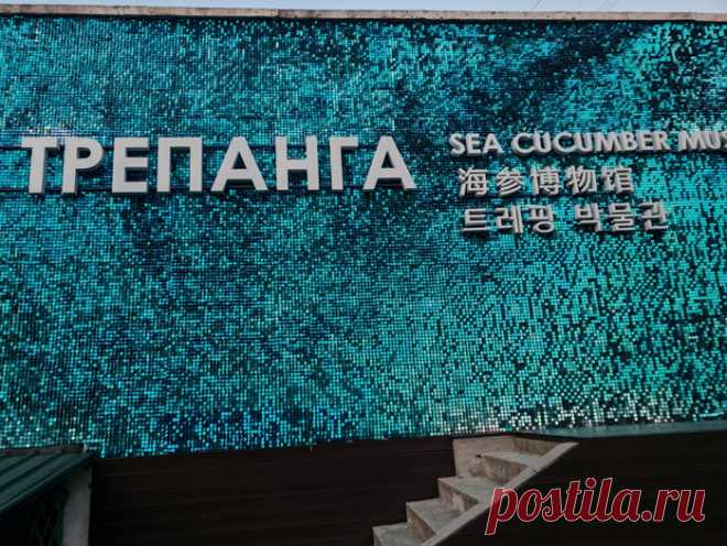 Музей трепанга