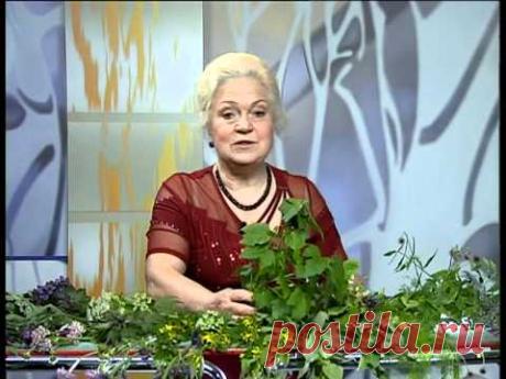 Наталя Земна - Смородина чорна (листя) - &quot;Ранок&quot; на КРТ