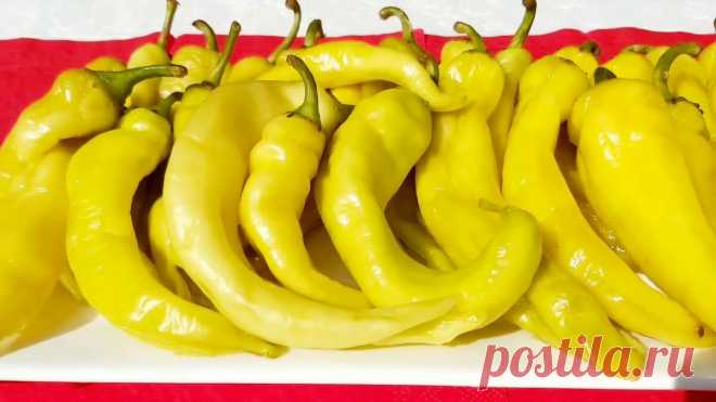 Цицак на зиму | Марина Ломака | Яндекс Дзен