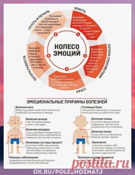 Негативные эмоции, способствующие развитию болезней
 
Полезно знать!