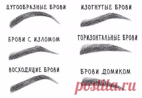4 правила красивых бровей