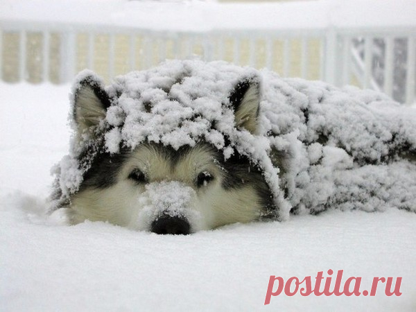 Мой Мир@Mail.Ru