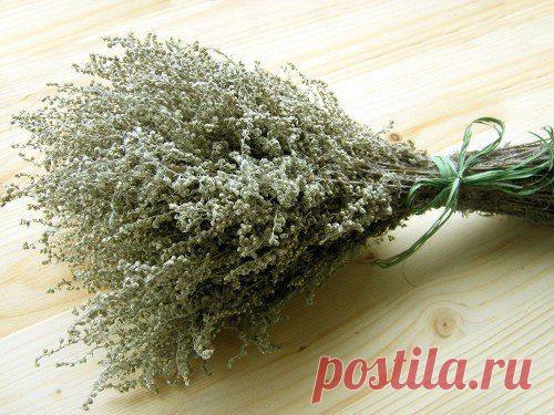 ОТЛИЧНОЕ АНТИПАРАЗИТАРНОЕ СРЕДСТВО ДЕТЯМ .