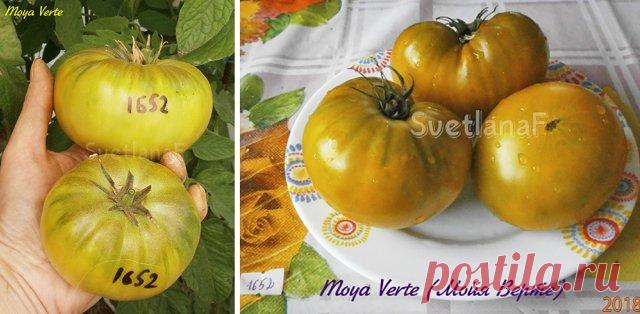 12 сортов очень сладких томатов – рекомендуют коллекционеры