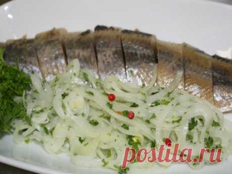 Как вкусно и просто засолить селедку  



А какая получается вкуснятина… Вы больше никогда не станете покупать магазинную соленую селедку! Скажу вам более… этот рецепт великолепно подходит для засолки скумбрии и любой красной рыбы.
 Прод…
