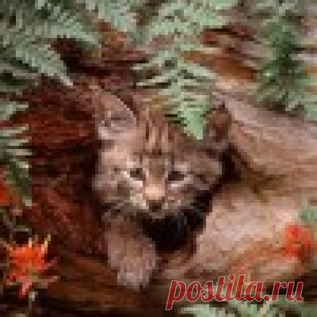 Один из лучших вариантов закрытия петель! Очень эластичный и прочный