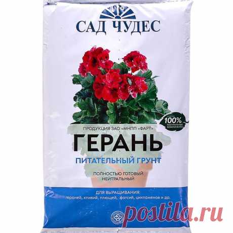 Чем подкормить герань: более 10 различных подкормок ?