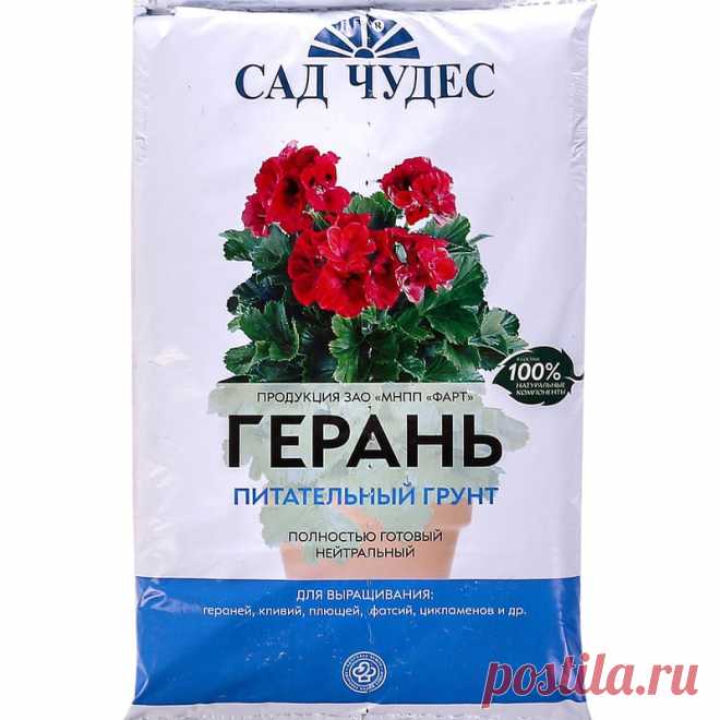 Чем подкормить герань: более 10 различных подкормок ?