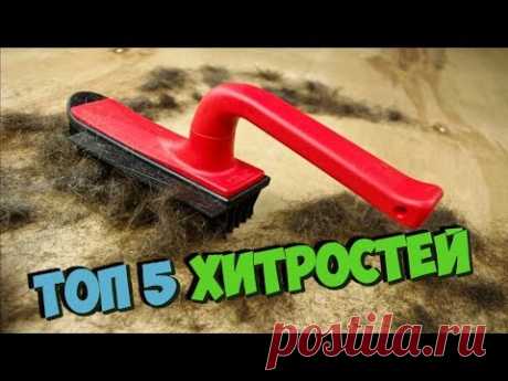 Как быстро избавиться от шерсти! ТОП-5 хитростей, чтобы молниеносно убрать всю шерсть из дома - YouTube