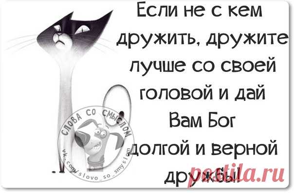 Прикольные фразочки в картинках