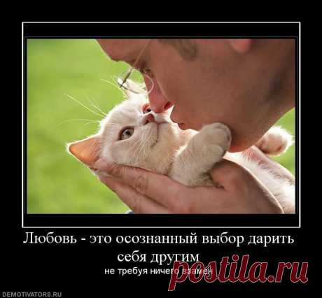 любовь