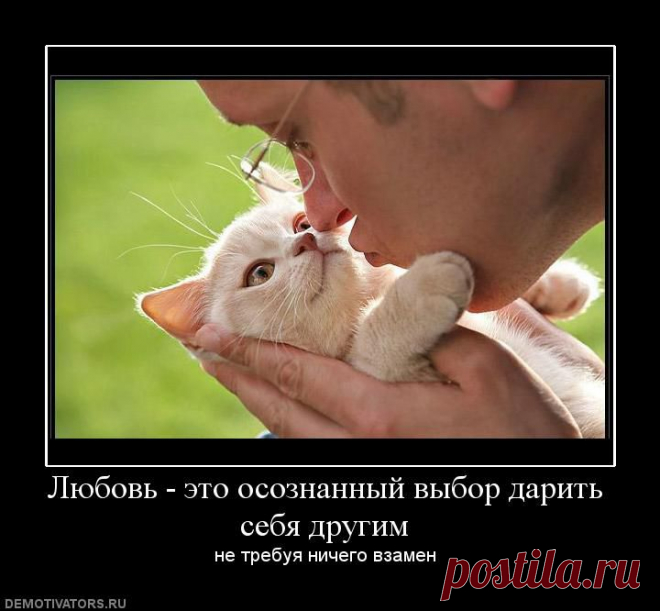 любовь