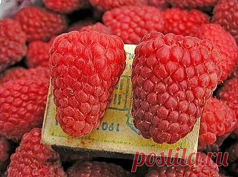 (78) Одноклассники