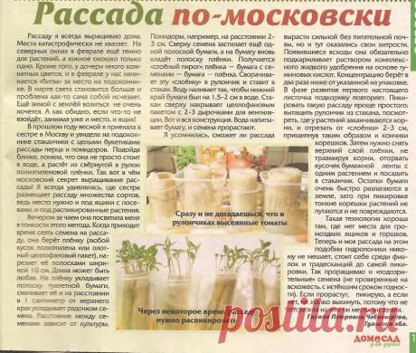 11 марта