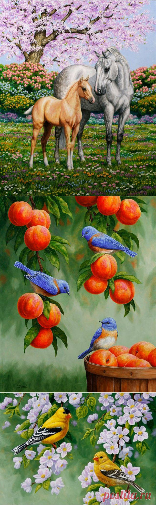 Художник Crista Forest. Животные и птицы
