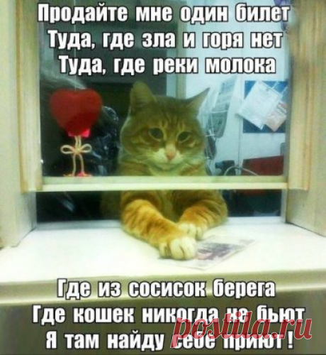 Одноклассники